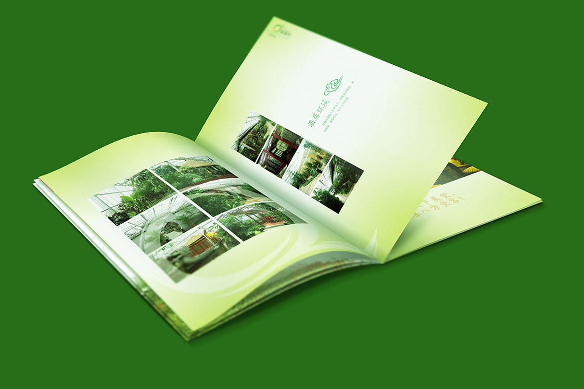 酒店管理品牌麒麟灣企業(yè)畫冊設(shè)計(jì) 麒麟灣宣傳冊內(nèi)頁酒店環(huán)境設(shè)計(jì)