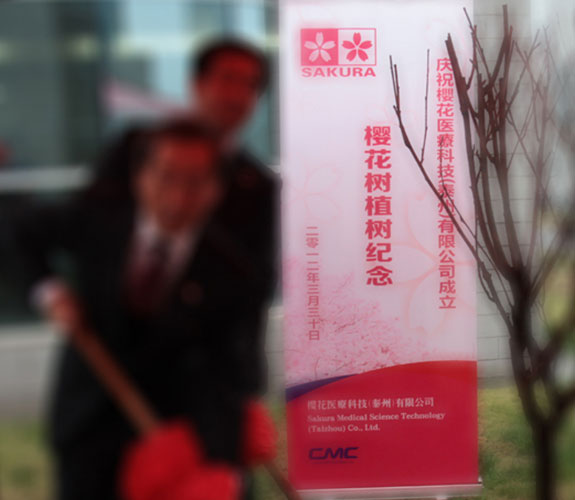中國醫藥城泰州櫻花醫療易拉寶設計 藥城櫻花醫療易拉寶設計